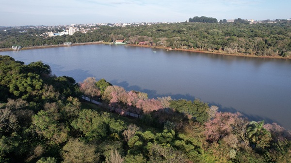 Prefeitura de Cascavel promete transformar o Lago Municipal em atração mundial — só falta combinar com os capivaras